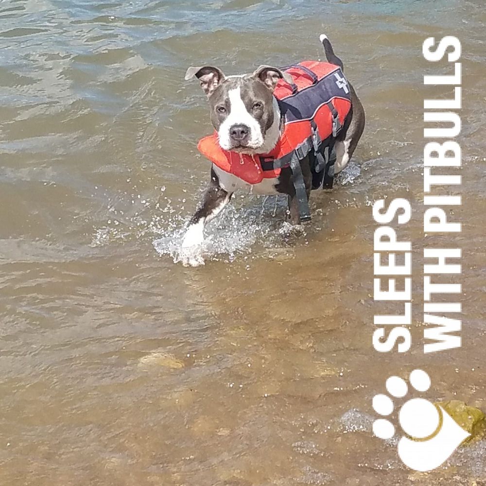 Meet your Posher, Shaune